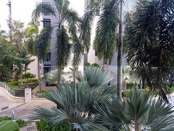 Carissa Park Condominium (D17), Condominium #501945071